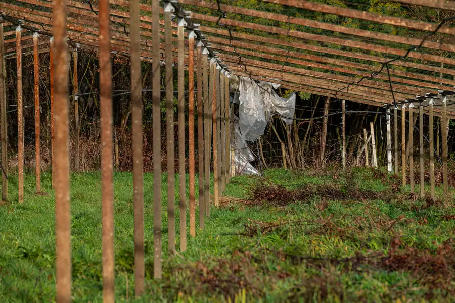 Common Challenges During Shed Removal Projects Cape May, NJ