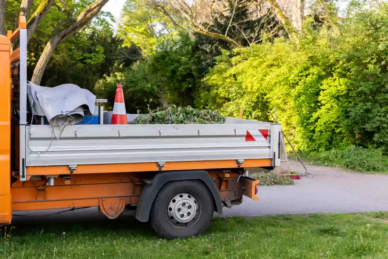Common Challenges In Residential Shrub Removal Work in Cape May, NJ