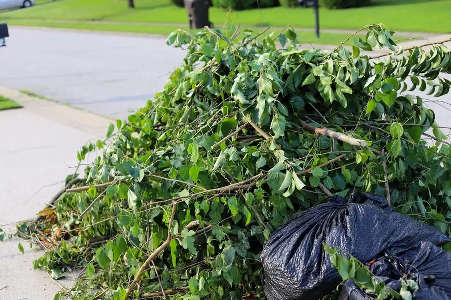 Common Challenges In Residential Shrub Removal Work in Cape May, NJ
