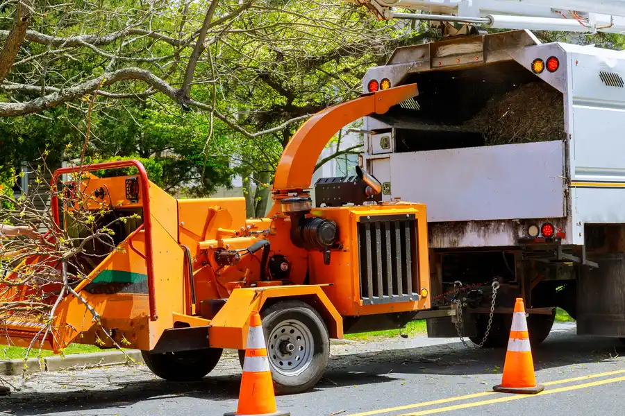 The Role Of Heavy Equipment In Lot Clearing Services Cape May, NJ