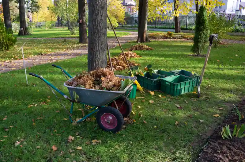 What To Expect During A Professional Shrub Removal Service in Cape May, NJ