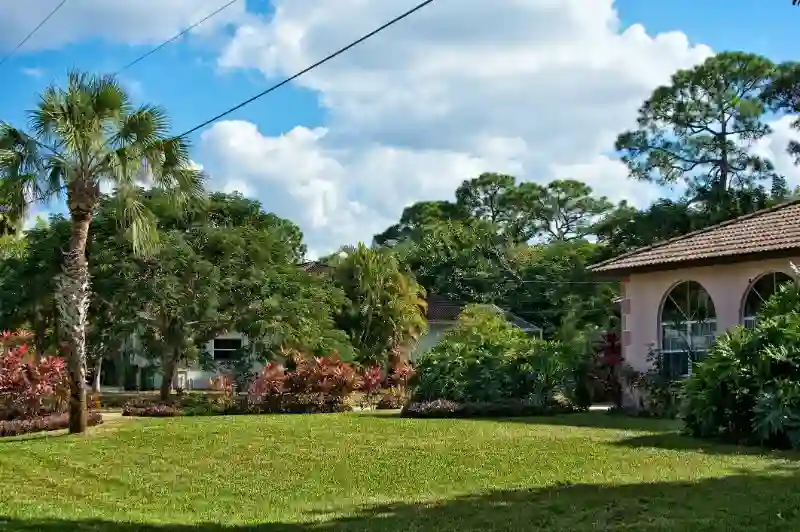 Reliable Lot Clearing in Cape May, NJ